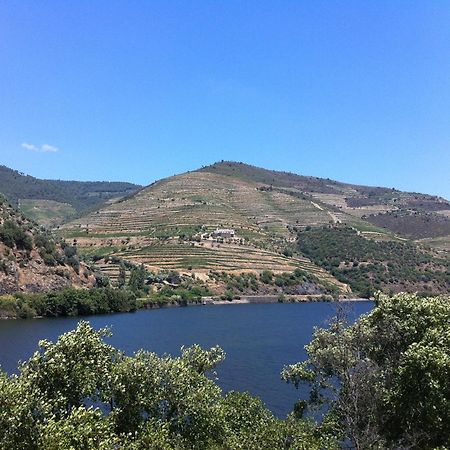 Quinta Da Marka Covas do Douro Kültér fotó
