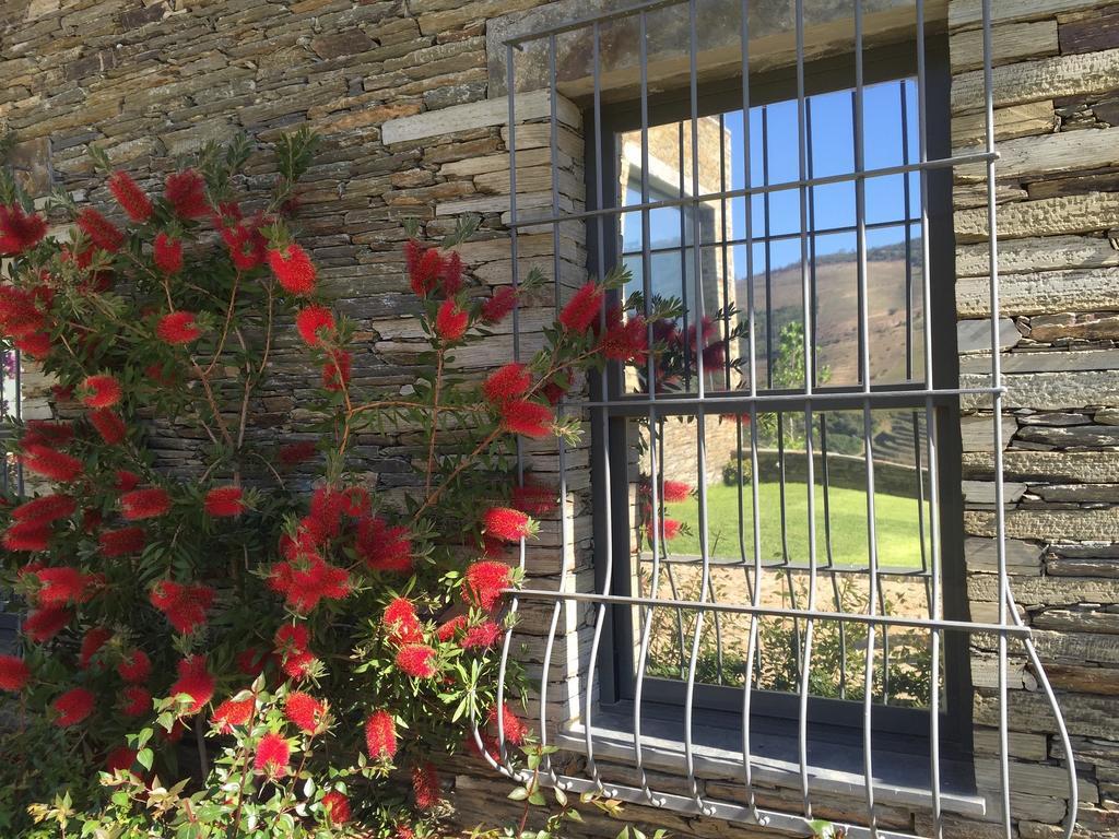Quinta Da Marka Covas do Douro Kültér fotó