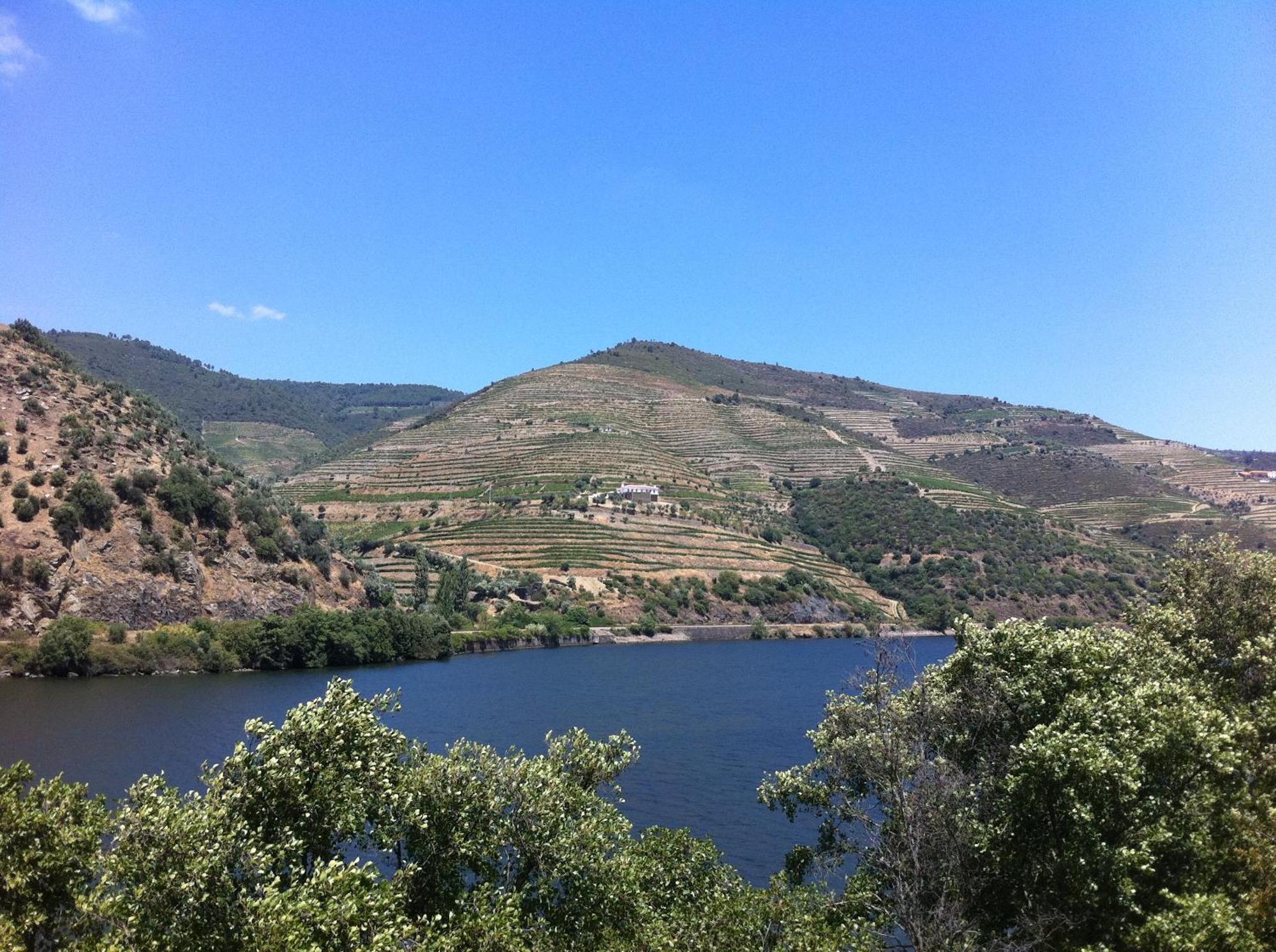 Quinta Da Marka Covas do Douro Kültér fotó